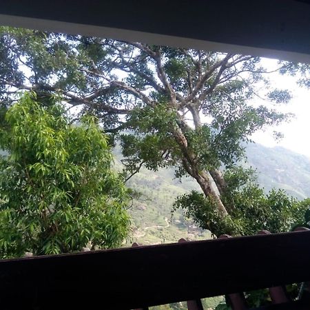 Bed and Breakfast Holly Hock Munnar Exterior foto